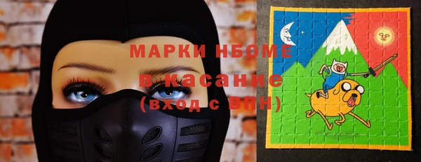 индика Заводоуковск
