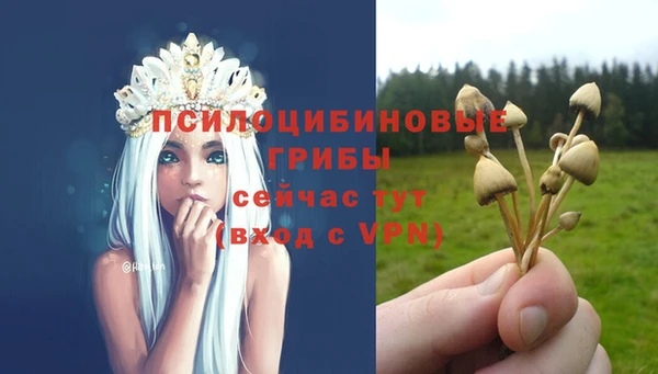 индика Заводоуковск