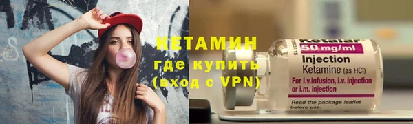 индика Заводоуковск