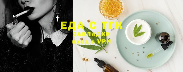 индика Заводоуковск