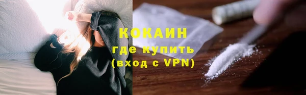 индика Заводоуковск