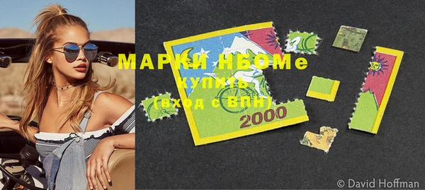 индика Заводоуковск