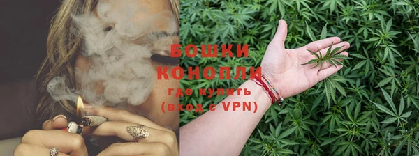 индика Заводоуковск