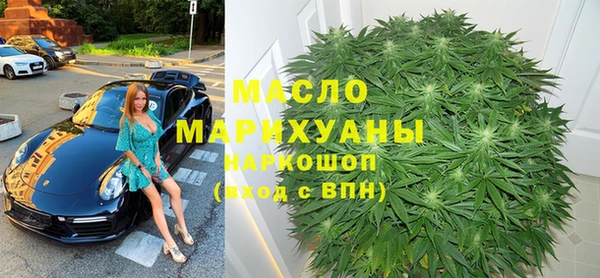 индика Заводоуковск